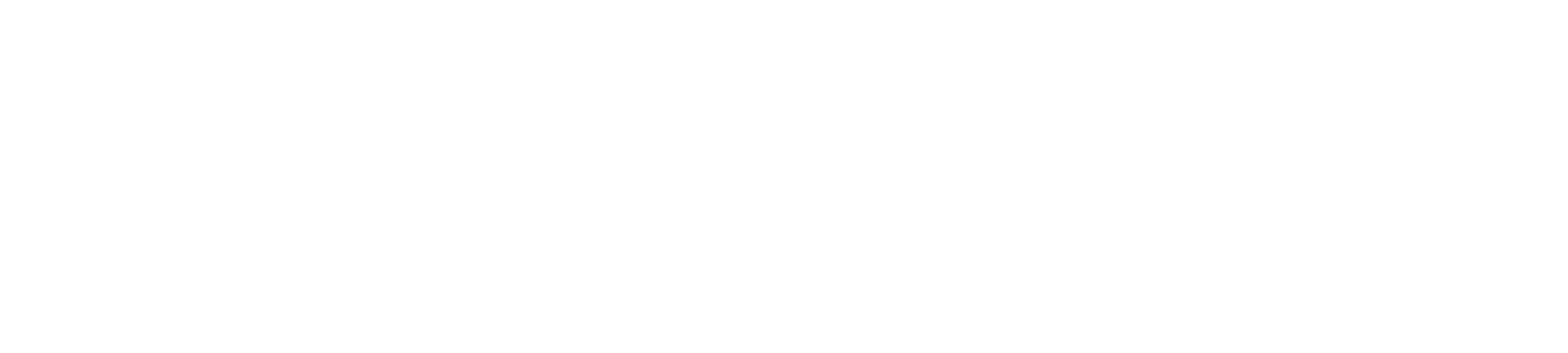 The Intellectual Property Corporation
