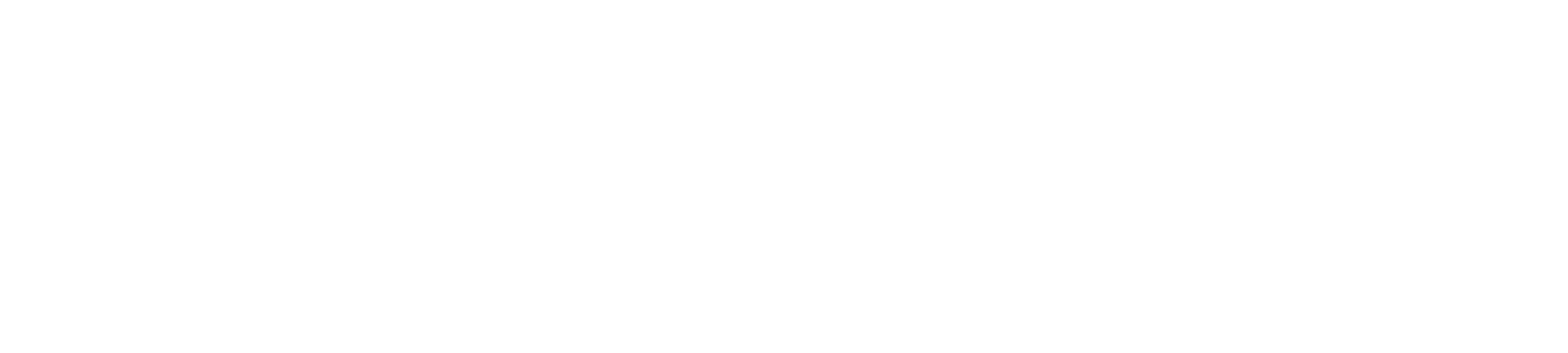 The Intellectual Property Corporation Copy