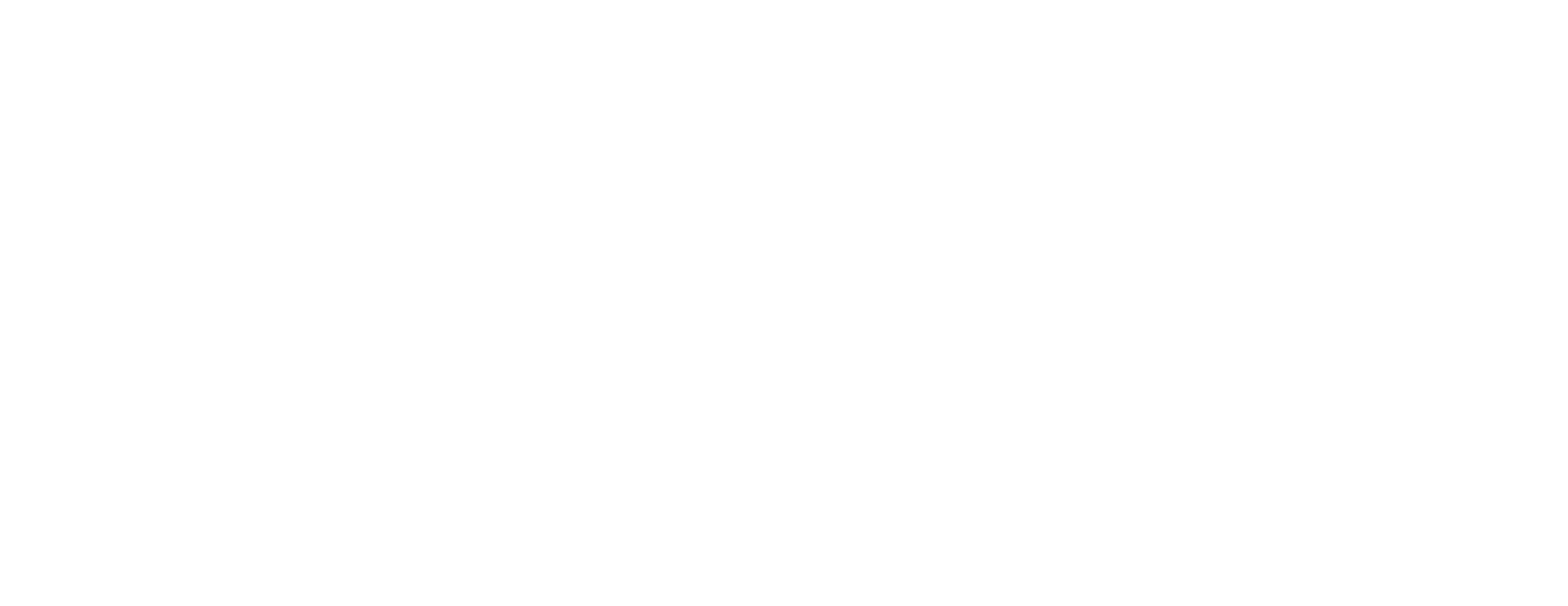 The Intellectual Property Corporation